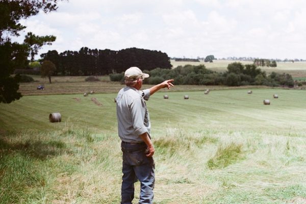 Read more about the article Immigrating as a farmer – New Australian specialist visas for farmers