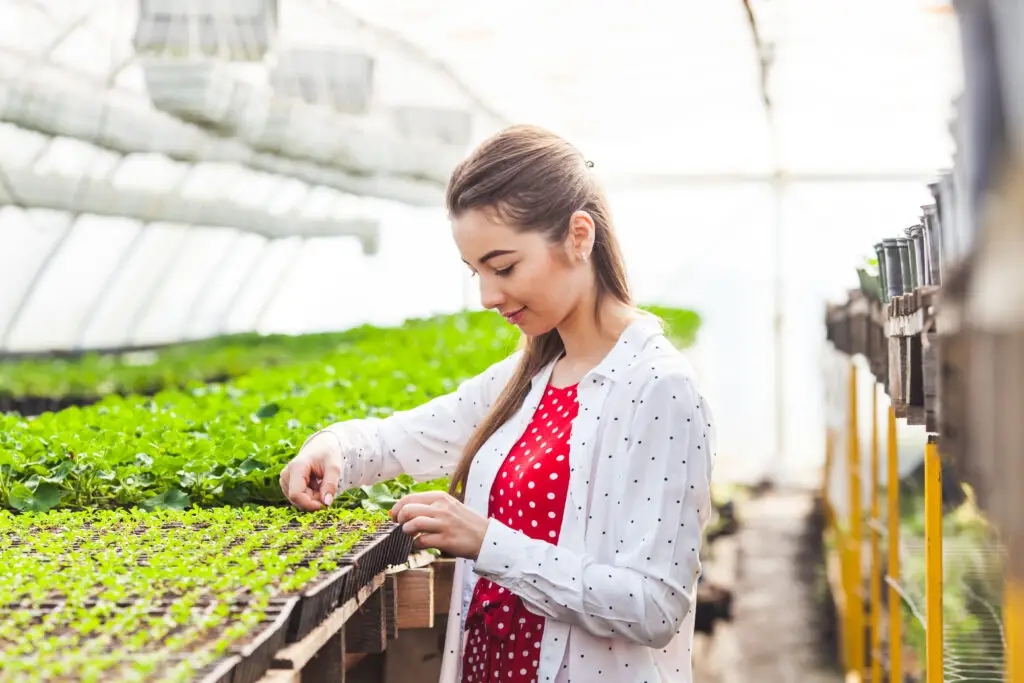 Woman in greenhouse