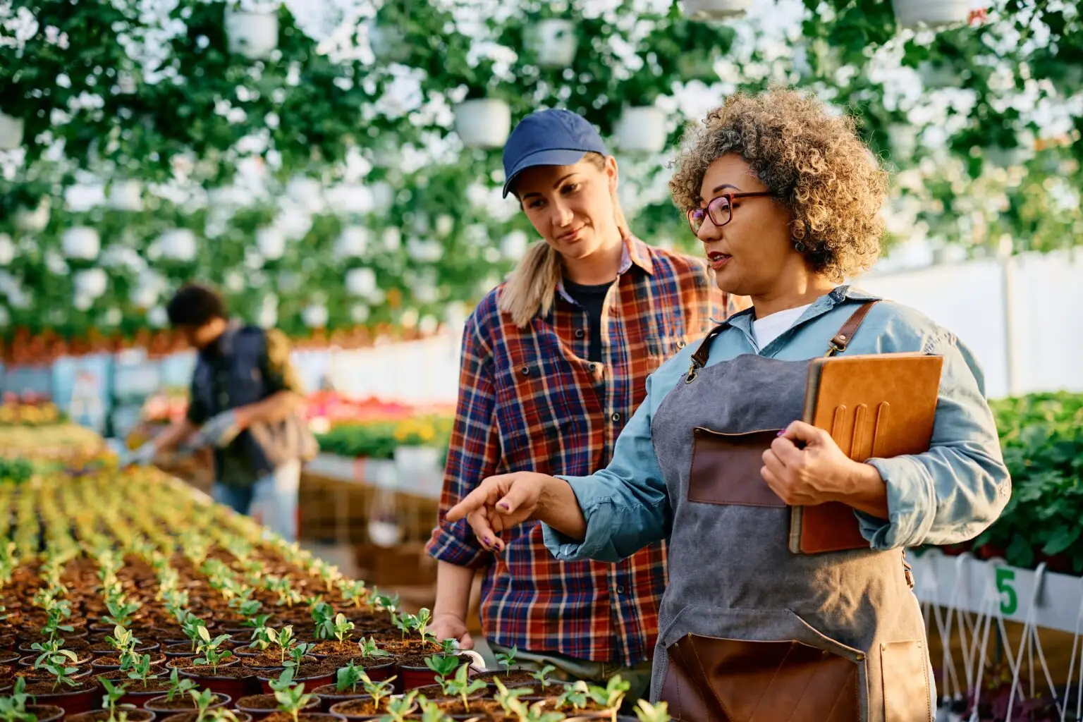 Quality,Control,Inspector,Talking,To,Female,Worker,While,Examining,Seedlings