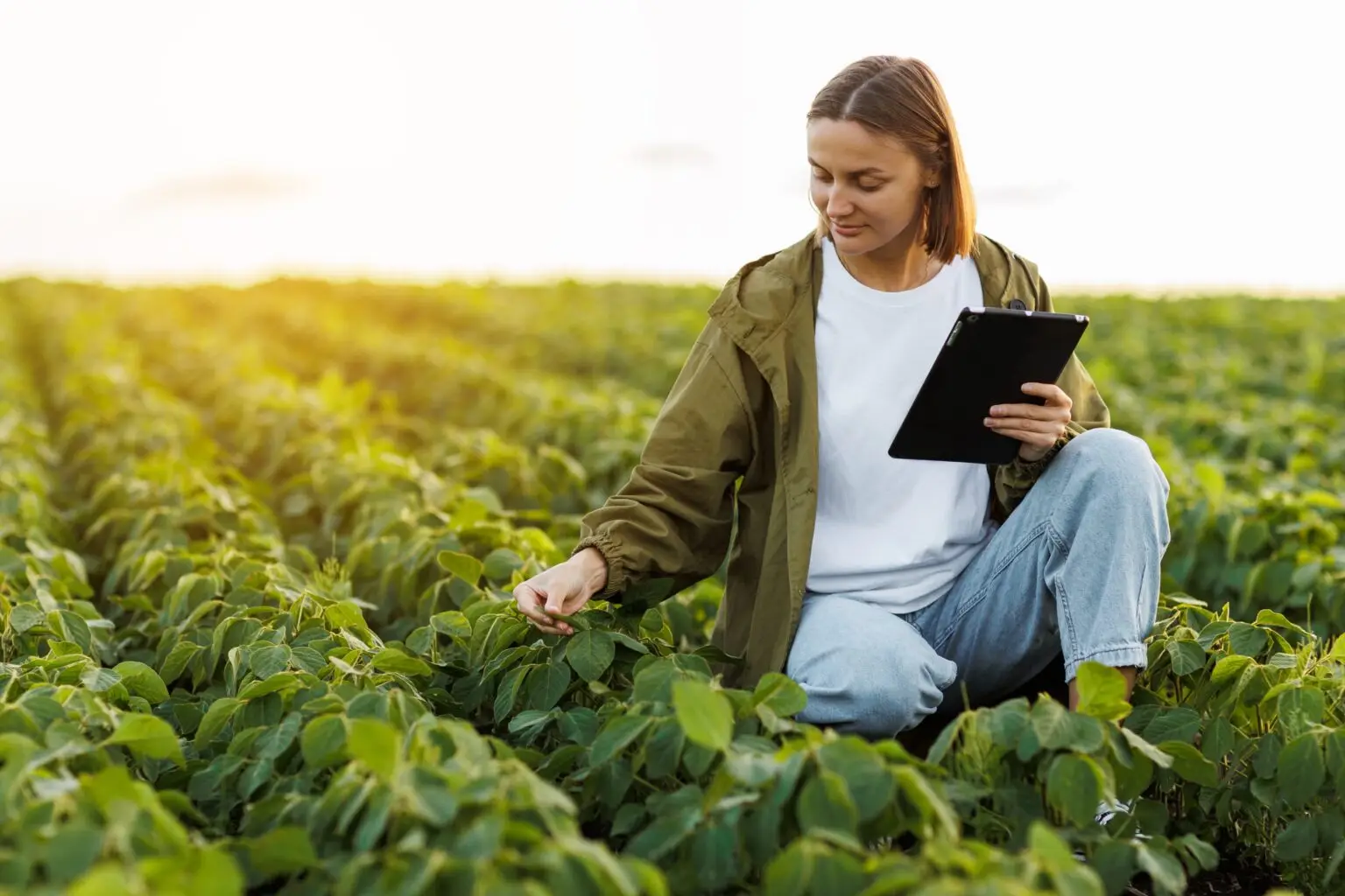 Modern,Agribusiness.,Female,Farmer,With,Digital,Tablet,Examines,And,Checkins