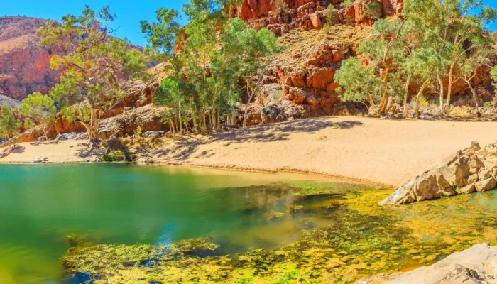 Banner panorama of Ormiston Gorge Water Hole with ghost gum in West MacDonnell Ranges, Northern Territory, Australia. Ormiston Gorge is a great place to swim or see the high walls of gorge and pound.