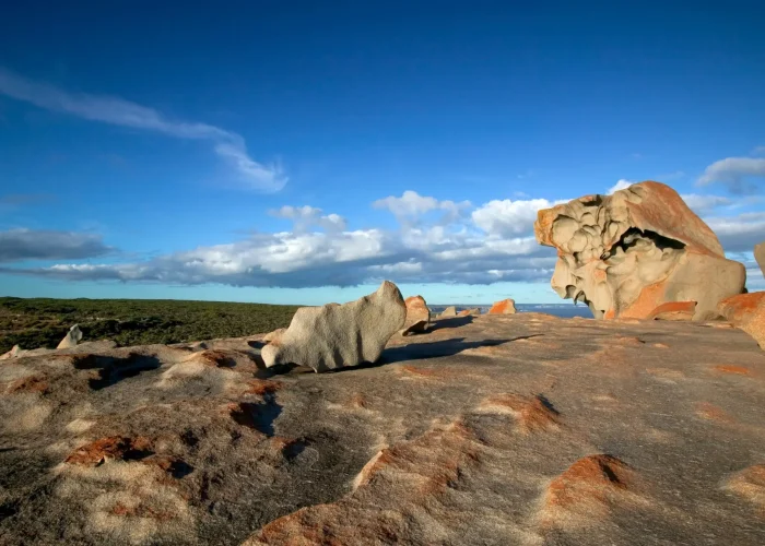 Remarkable,Rocks,,Flinders,Chase,National,Park,,Kangaroo,Island,,South,Australia,